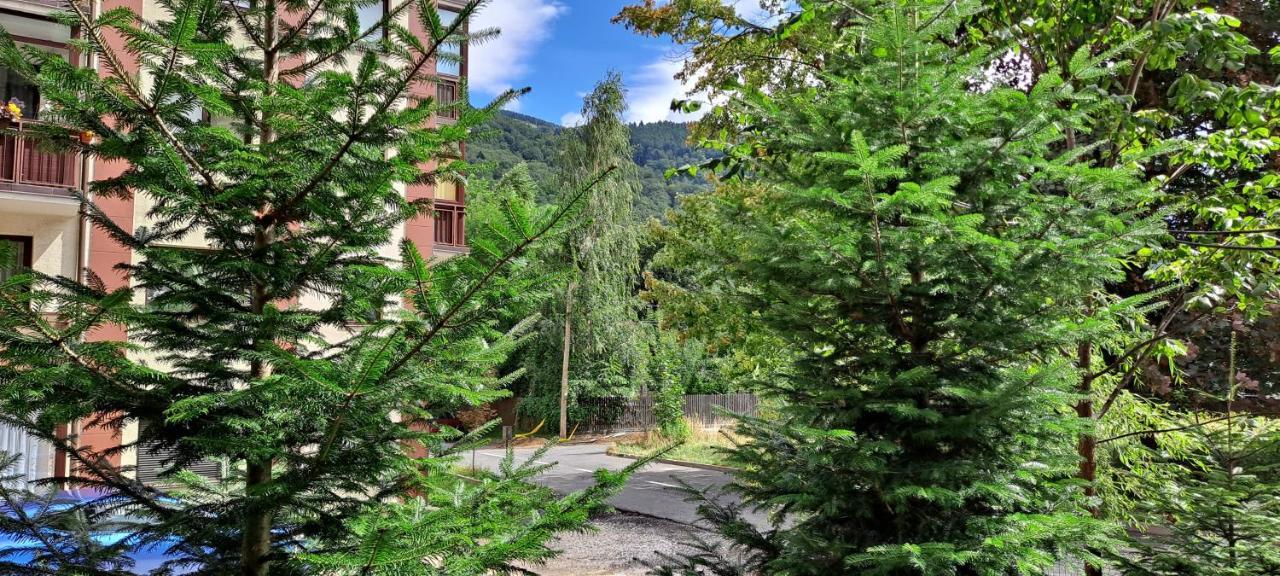 Sinaia Relax Residence المظهر الخارجي الصورة