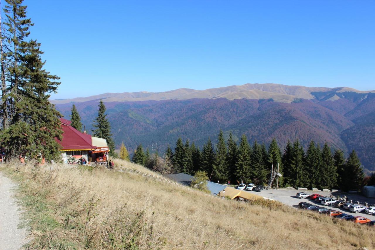 Sinaia Relax Residence المظهر الخارجي الصورة